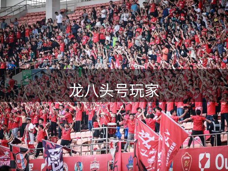 了解龙八头号玩家